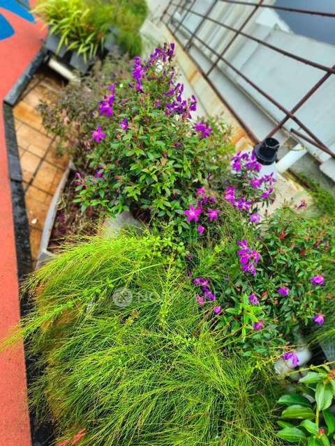 1 BHK Flat In Lotus Ready Hai For Sale  In Goregaon West