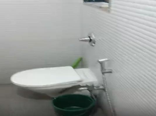 1 BHK Flat In Green Field For Sale  In Lower Parel East - Bdd Chawl