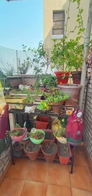 3 BHK Flat In Ekdant Dronagiri Vasundhara For Sale  In Vasundhara