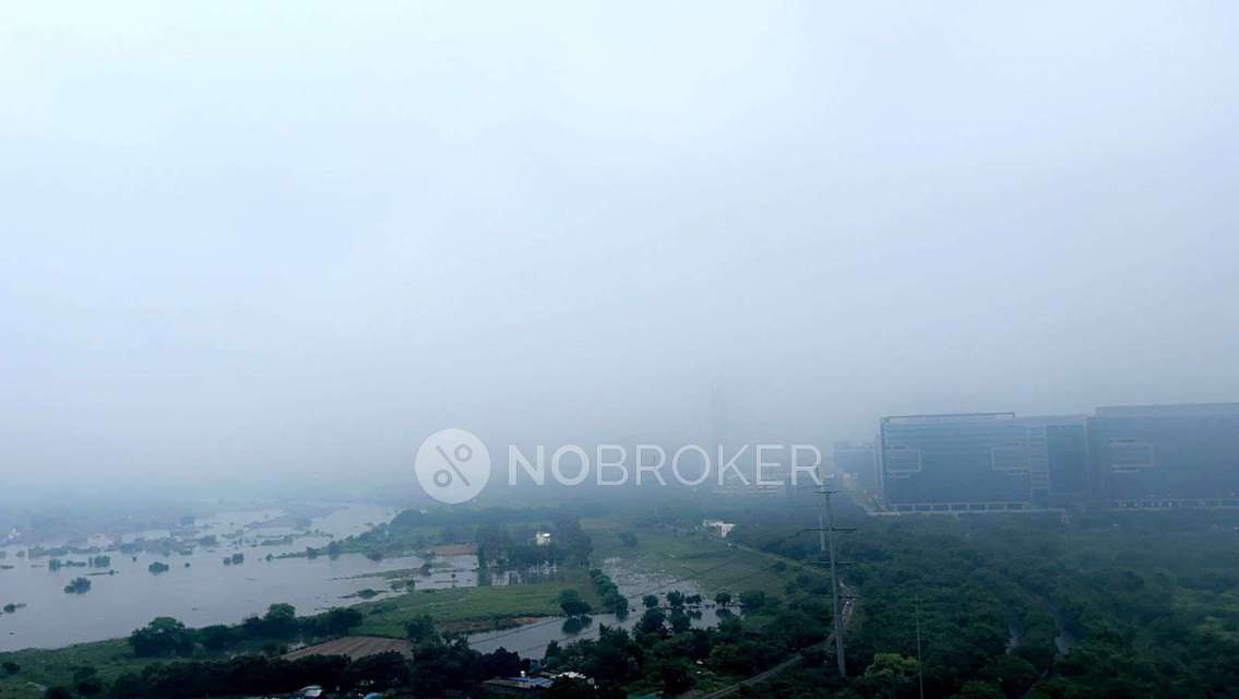 3 BHK Flat In Gulshan Ikebana, Sector-143 For Sale  In Sector-143