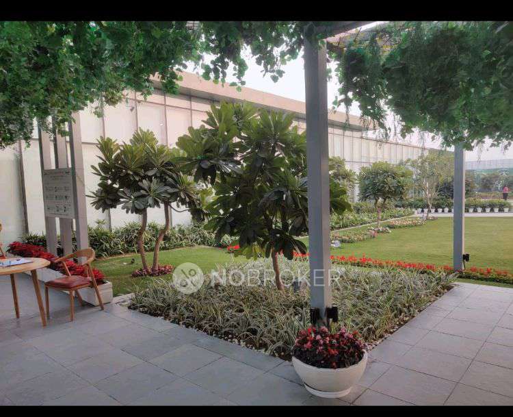 2 BHK Flat In Godrej Woods For Sale  In Sector 43
