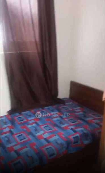 PG for Anyone in Satya Niketan, South Moti Bagh