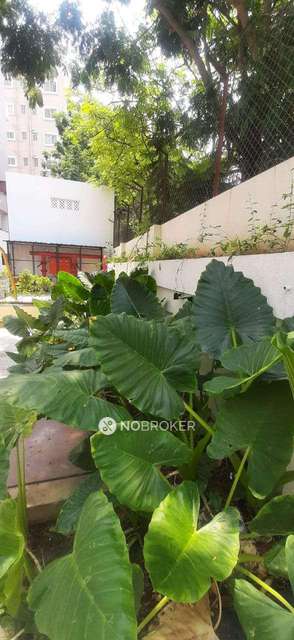 2 BHK Flat In Chandrai Capital For Sale  In Sinhgad Law College