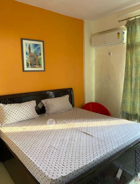 2 BHK Flat In Dda Flats Sector 19 Pocket 2 for Rent  In Dwarka