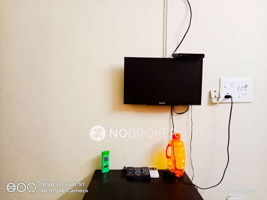 PG for Anyone in Sector 21