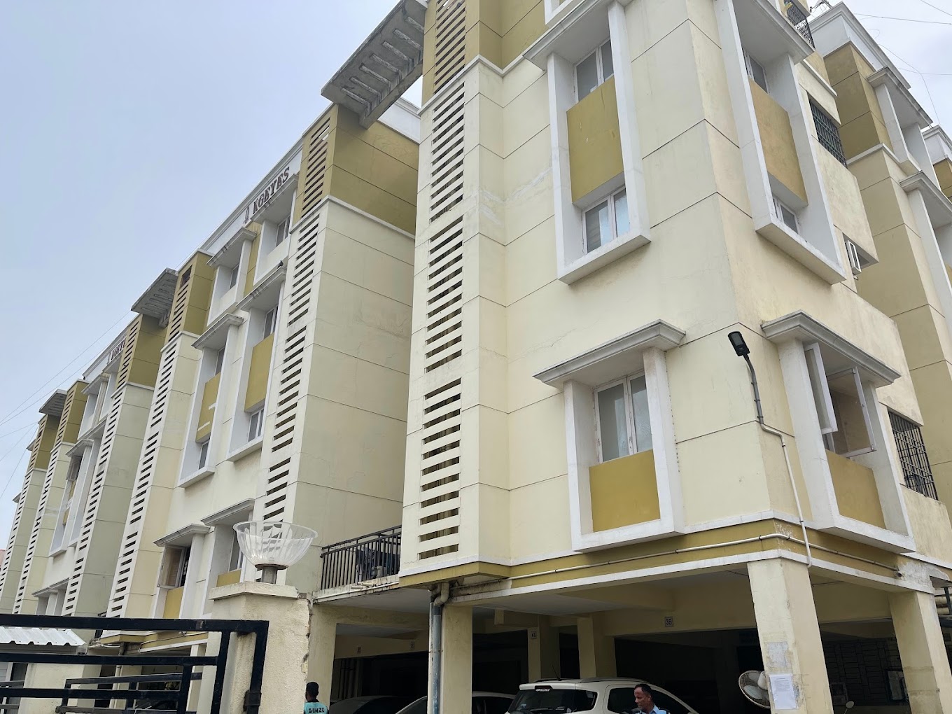 Kgeyes Carolinaa, Velachery