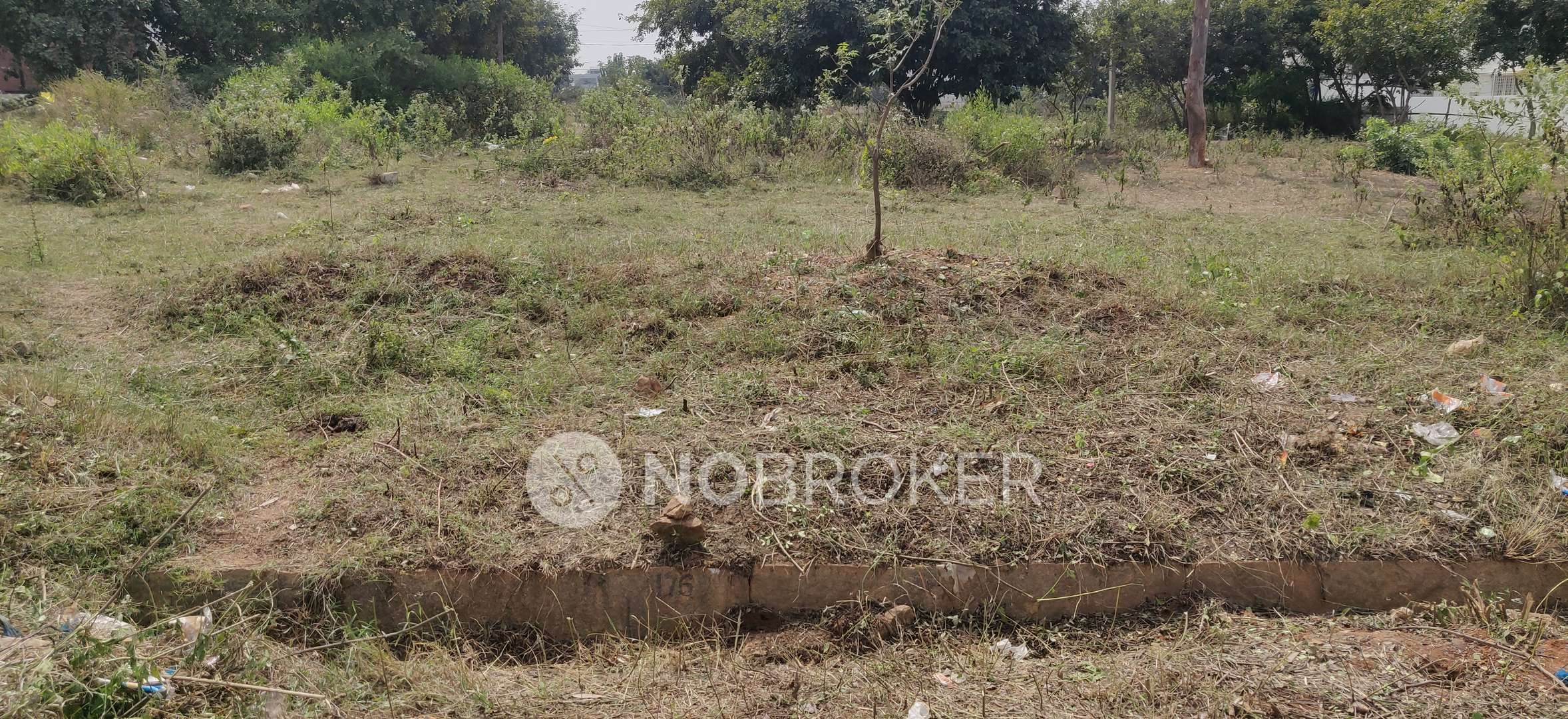 Plot For Sale  In Chintamani
