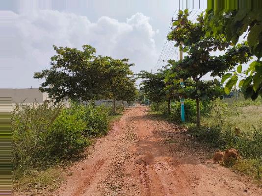 Plot For Sale  In Sai Layout In 3ph8+ffh, Kammasandra Rd, Samrudhi Layout, Bengaluru, Kammasandra, Karnataka 562129, India