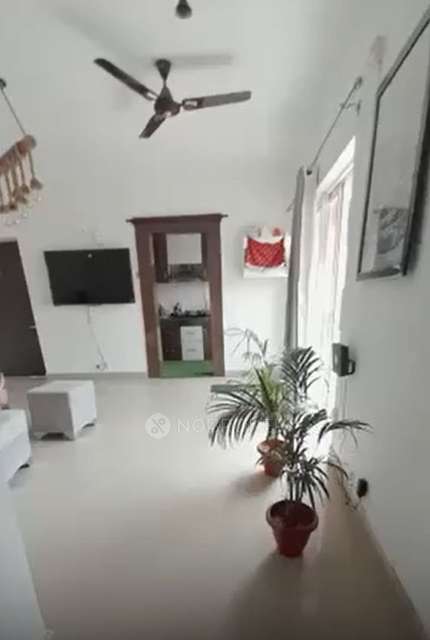 3 BHK Flat In Paras Tierea For Sale  In Sector 137