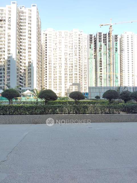 2 BHK Flat In Panchsheel Greens 2 For Sale  In Sector 16b 