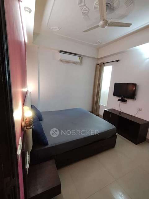 PG for Anyone in Sector 39