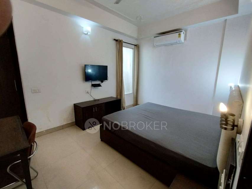 PG for Anyone in Sector 39