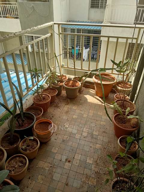 2 BHK Flat In Majestique Manhattan for Rent  In Wagholi