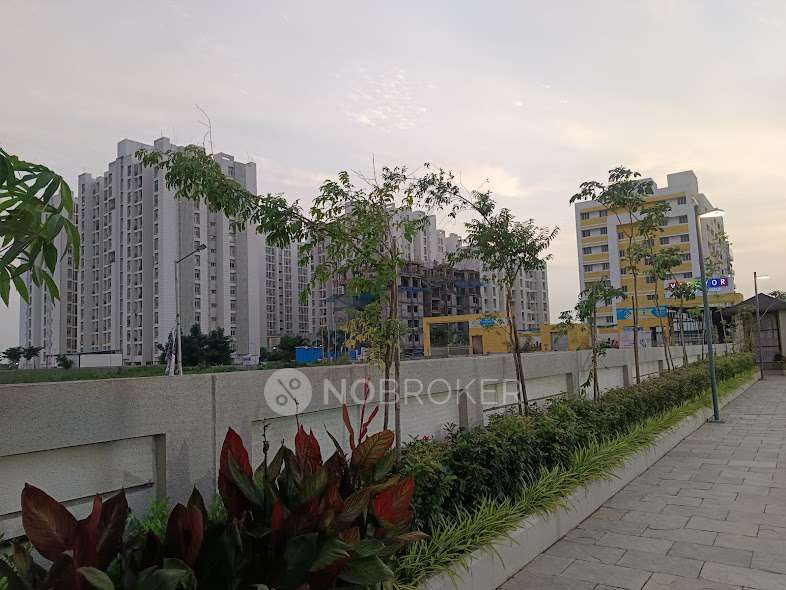 3 BHK Flat In Vtp Purvanchal for Rent  In Wagholi