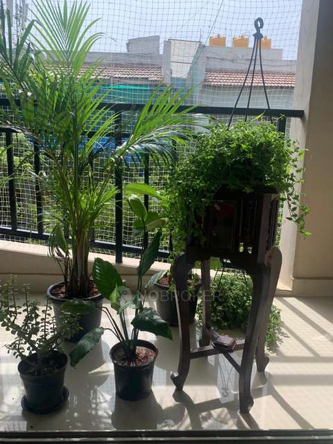 2 BHK Flat In Sai Meadows For Sale  In Sai Meadows