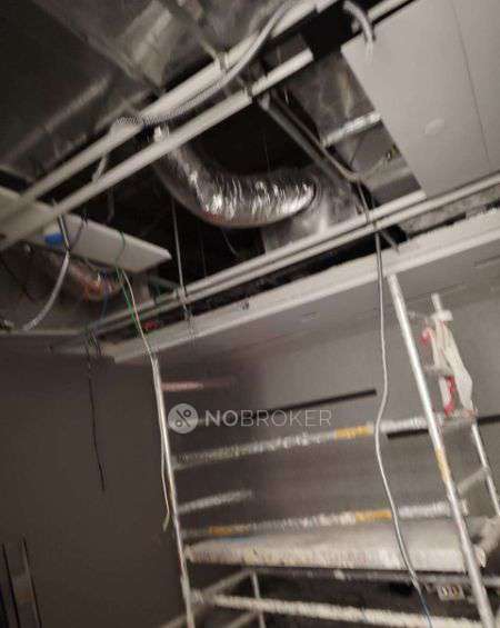 1 BHK Flat In Trisara Our Homes 3 For Sale  In Sohna