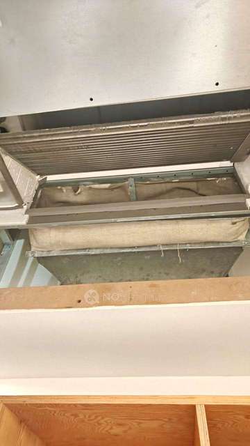 1 BHK Flat In Trisara Our Homes 3 For Sale  In Sohna