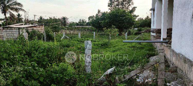 Plot For Sale  In Prukuthi Nivas In Mavallipura