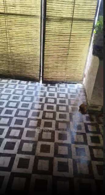 1 BHK Flat In Niwas Residancy For Sale  In Greater Noida, Pari Chowk, Greater Noida, Uttar Pradesh 203207, India