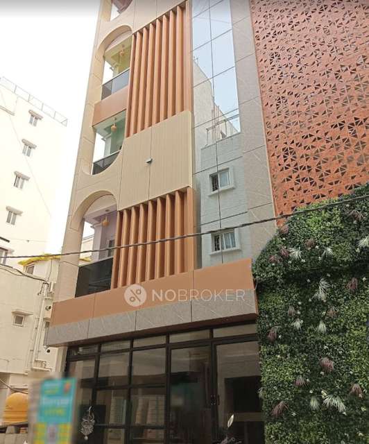 PG for Anyone in Mahadevapura