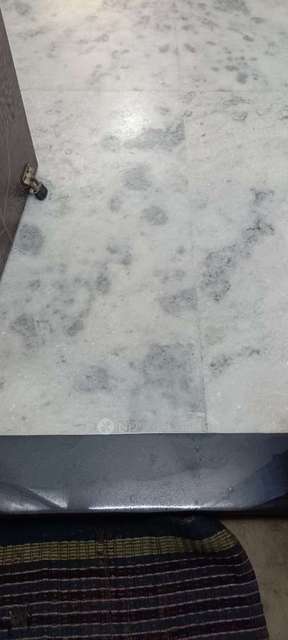 4 BHK House For Sale  In Mahavir Enclave