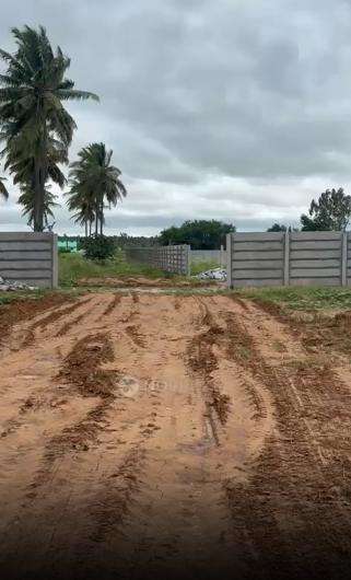Plot For Sale  In Thirumalashettyhally