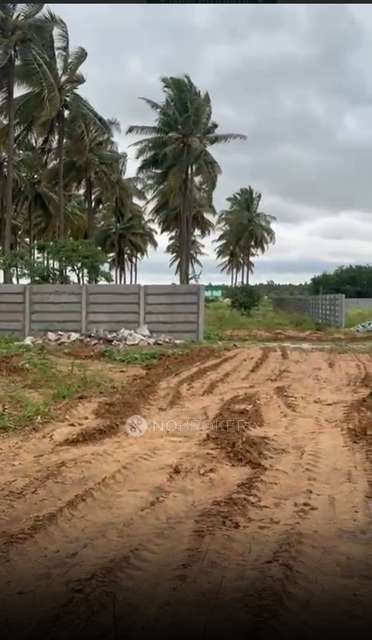 Plot For Sale  In Thirumalashettyhally