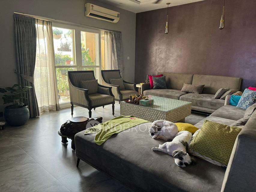 3 BHK Flat In Unitech Uniworld City  for Rent  In Sector 30