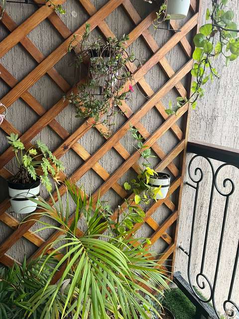 3 BHK Flat In Prestige Song Of South For Sale  In Prestige Song Of The South Tower-2