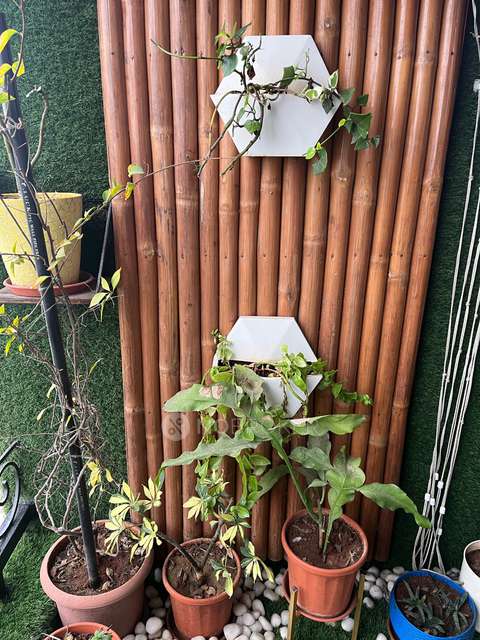 3 BHK Flat In Prestige Song Of South For Sale  In Prestige Song Of The South Tower-2