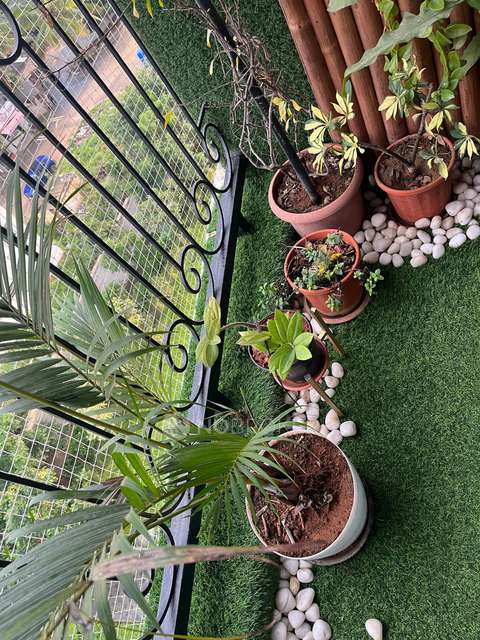 3 BHK Flat In Prestige Song Of South For Sale  In Prestige Song Of The South Tower-2