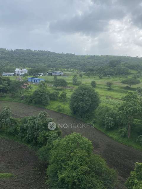 1 BHK Flat In Everglades At Forest Trails for Rent  In Bavdhan