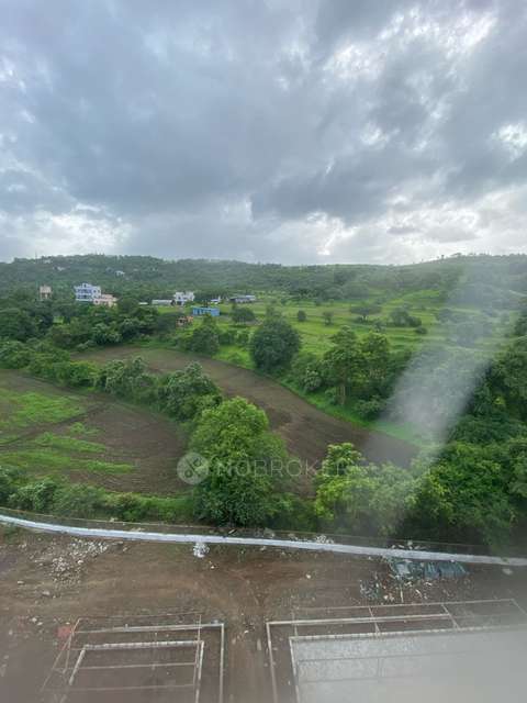 1 BHK Flat In Everglades At Forest Trails for Rent  In Bavdhan