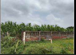 Plot For Sale  In Sector Xu 2