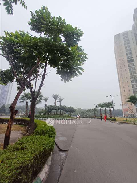 3 BHK Flat In Jaypee Aman For Sale  In Sector 151