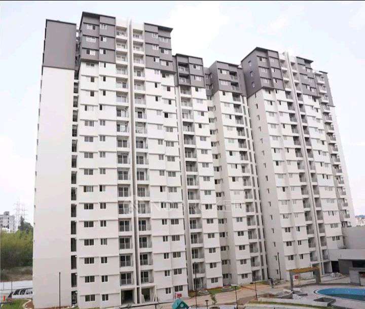 3 BHK Flat In Tvs Emerald Jardin For Sale  In Singasandra