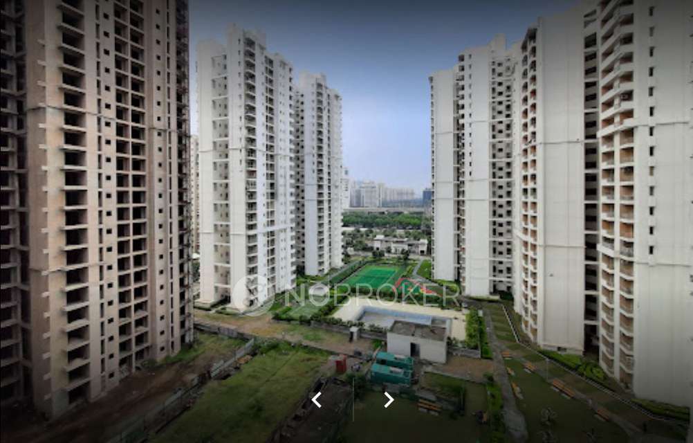 1 BHK Flat In 3c Lotus Zing For Sale  In Sector 168