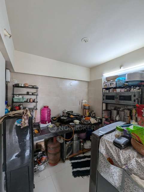 1 BHK Flat In Menlo Homes for Rent  In Hinjewadi