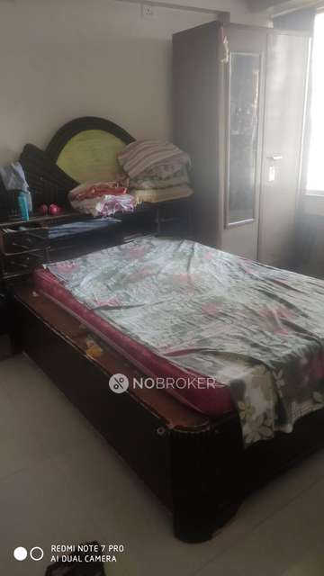 1 BHK Flat In Royal Orchid for Rent  In Baner