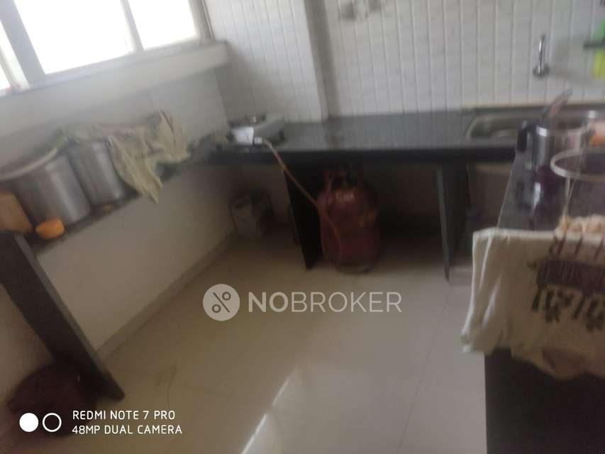 1 BHK Flat In Royal Orchid for Rent  In Baner