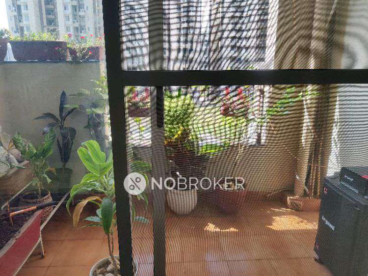 3 BHK Flat In Awho Vijay Vihar For Sale  In Wagholi