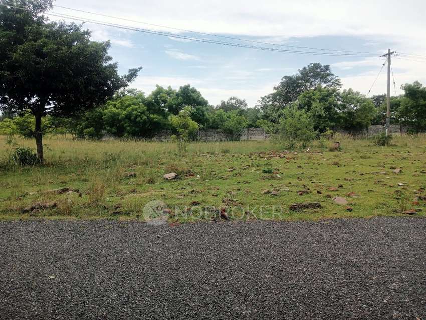 Plot For Sale  In Sembakkam