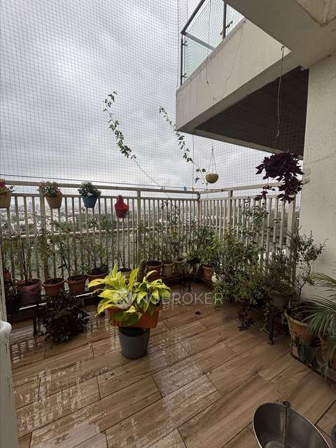 2 BHK Flat In Vishwa Aseemvishwa For Sale  In Chinchwad