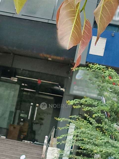 Showroom in Sector 49, Noida for Rent 