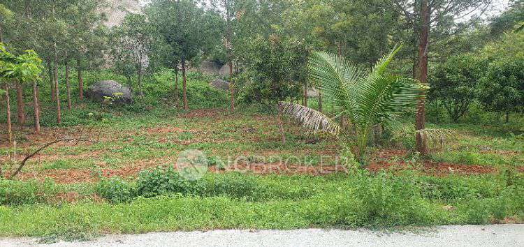 Plot For Sale  In Chikkabanavara