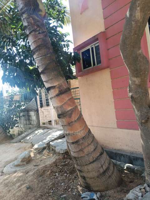 1 BHK House for Rent  In Mylasandra