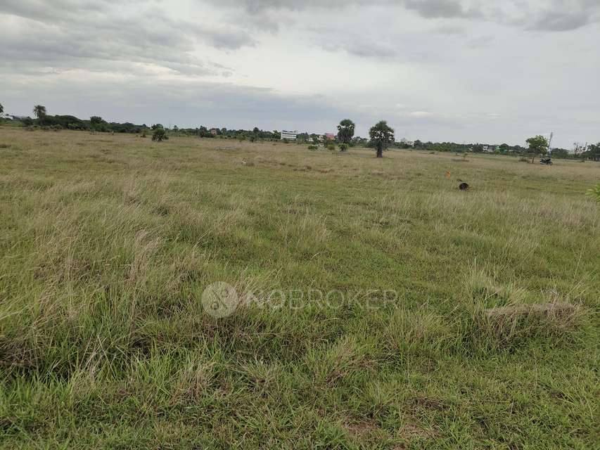 Plot For Sale  In Royal Maha Nagar Annexe In Sriperumbudur