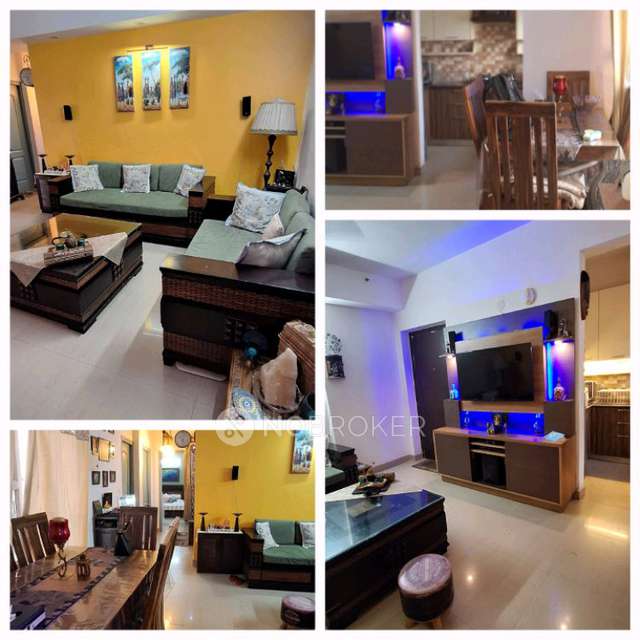 3 BHK Flat In Paras Tierea For Sale  In Sector 137