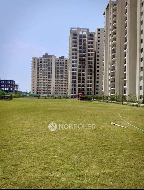 2 BHK Flat In Mgh Mulberry County for Rent  In Sector 70