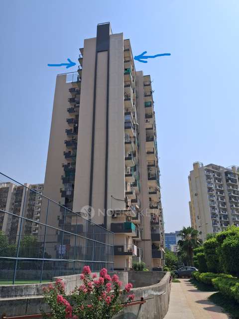 2 BHK Flat In Corona Optus For Sale  In Sector 37c